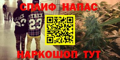 спиды Будённовск